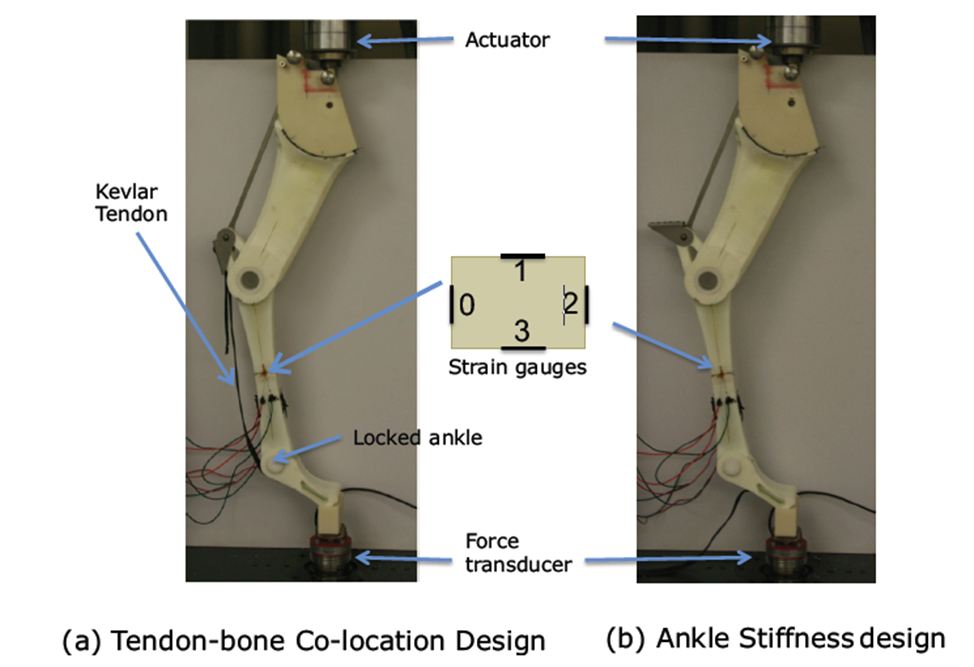 Fig 5. Experimental setup for measuring stresses