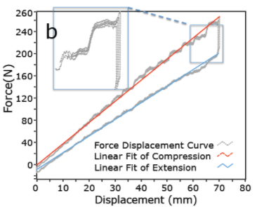 proprioceptive figure b