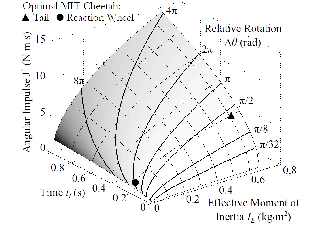 tail analysis